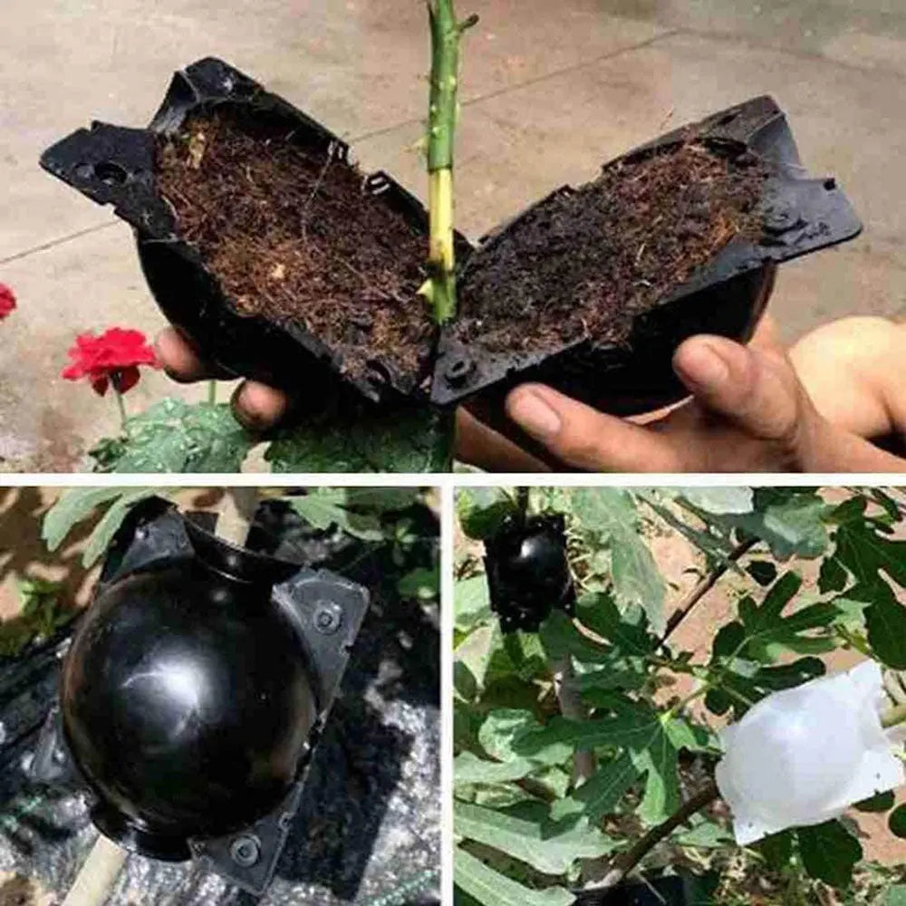 Cutii pentru creșterea plantelor - Zappy Fashion Romania